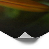 hellorange poster (Ecke)