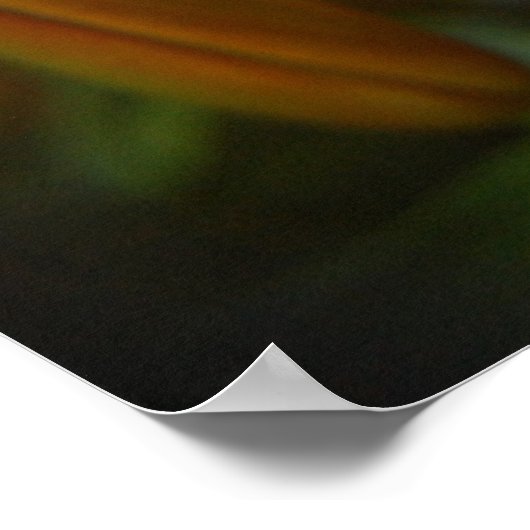 hellorange poster (Ecke)