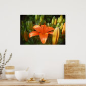 hellorange poster (Küche)