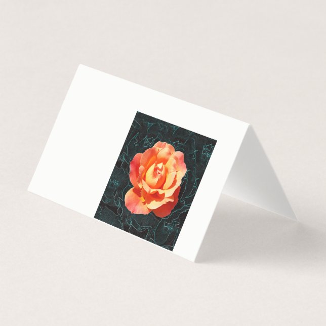 Hellorange Rose (Vorderseite)
