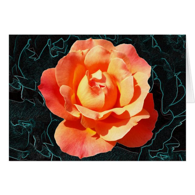 Hellorange Rose (Vorderseite (Horizontal))