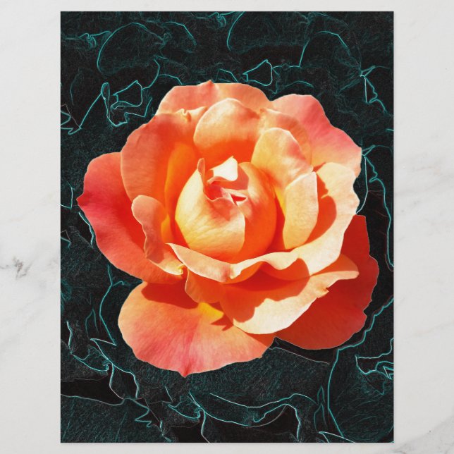 Hellorange Rose (Vorderseite)