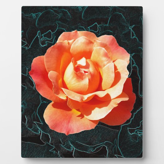 Hellorange Rose Fotoplatte (Vorderseite)