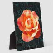 Hellorange Rose Fotoplatte (Seite)