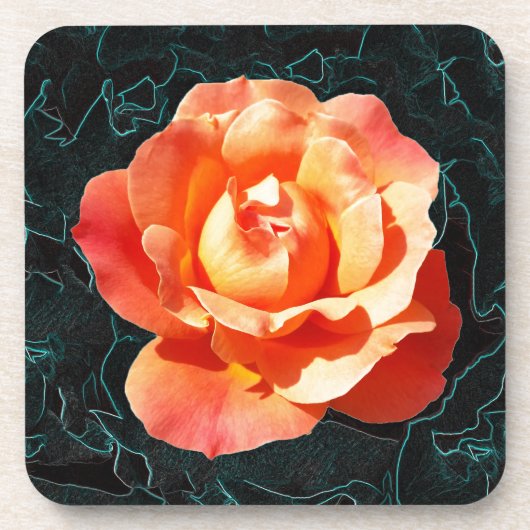 Hellorange Rose Getränkeuntersetzer (Vorderseite)