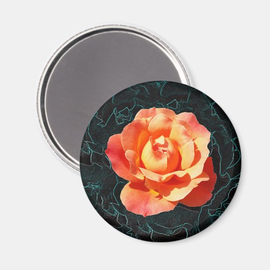 Hellorange Rose Magnet (Vorderseite/Rückseite)