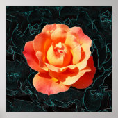 Hellorange Rose Poster (Vorne)