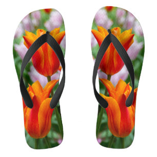 Hellorange Tulpen im Park Badesandalen