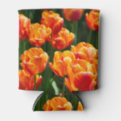 Hellorange Tulpen im Park Dosenkühler (Vorderseite)