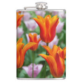 Hellorange Tulpen im Park Flachmann