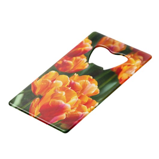 Hellorange Tulpen im Park Geldbeutel Flaschenöffner (Vorderseite Schrägansicht)