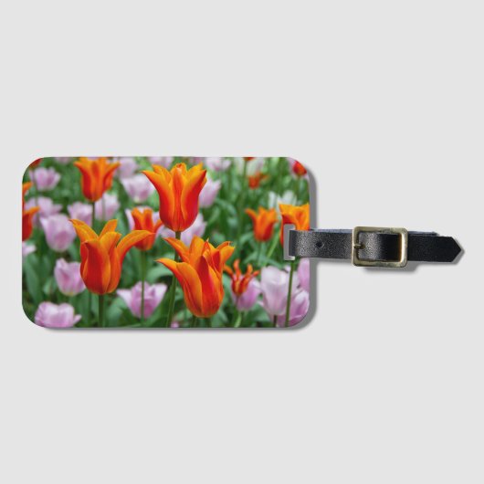 Hellorange Tulpen im Park Gepäckanhänger (Vorderseite (Horizontal))