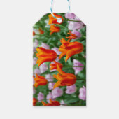 Hellorange Tulpen im Park Geschenkanhänger (Vorderseite)