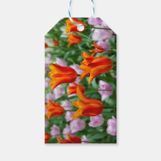 Hellorange Tulpen im Park Geschenkanhänger (Vorderseite)