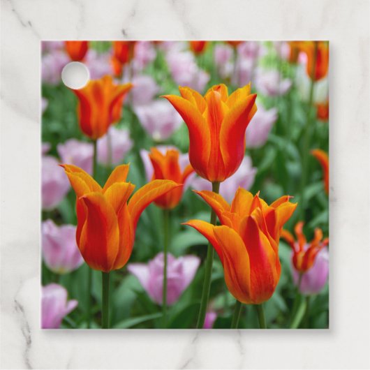 Hellorange Tulpen im Park Geschenkanhänger (Vorderseite)