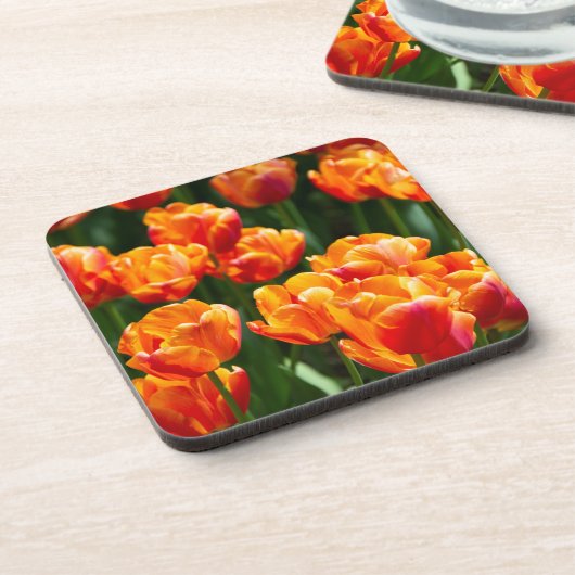 Hellorange Tulpen im Park Getränkeuntersetzer (Linke Seite)
