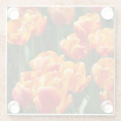 Hellorange Tulpen im Park Glasuntersetzer (Rückseite)