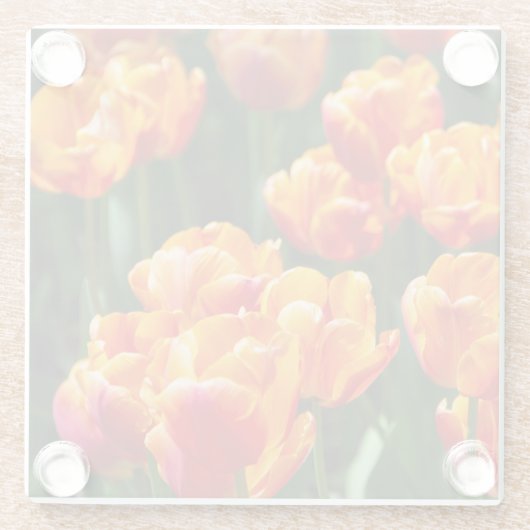 Hellorange Tulpen im Park Glasuntersetzer (Rückseite)