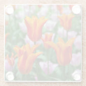 Hellorange Tulpen im Park Glasuntersetzer (Rückseite)