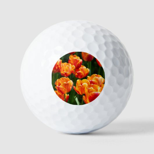 Hellorange Tulpen im Park Golfball (Vorderseite)