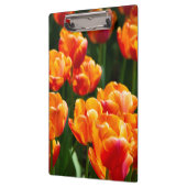 Hellorange Tulpen im Park Klemmbrett (Links)