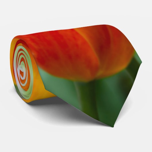 Hellorange Tulpen im Park Krawatte (Gerollt)