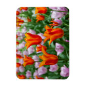 Hellorange Tulpen im Park Magnet (Vertikal)