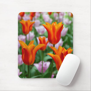 Hellorange Tulpen im Park Mousepad