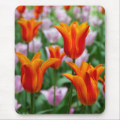 Hellorange Tulpen im Park Mousepad (Vorne)