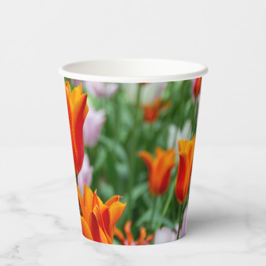Hellorange Tulpen im Park Pappbecher (Rückseite)