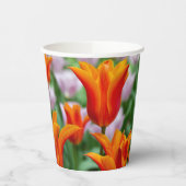 Hellorange Tulpen im Park Pappbecher (Links)