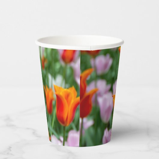 Hellorange Tulpen im Park Pappbecher (Rechts)
