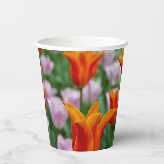Hellorange Tulpen im Park Pappbecher (Vorderseite)