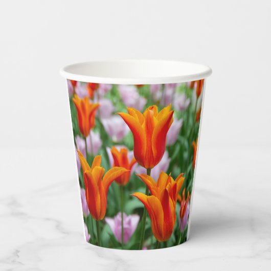 Hellorange Tulpen im Park Pappbecher (Rückseite)