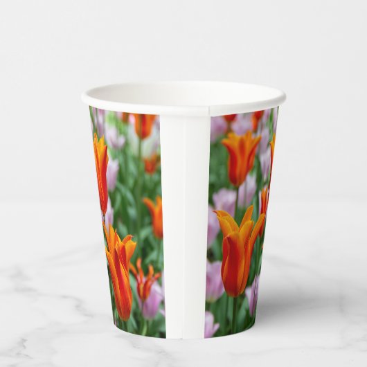 Hellorange Tulpen im Park Pappbecher (Rechts)