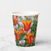 Hellorange Tulpen im Park Pappbecher (Vorderseite)