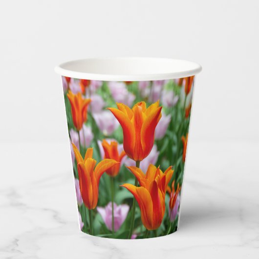 Hellorange Tulpen im Park Pappbecher (Vorderseite)