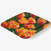 Hellorange Tulpen im Park Pappteller (Gewinkelt)