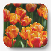 Hellorange Tulpen im Park Pappteller (Vorderseite)