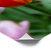 Hellorange Tulpen im Park Poster (Ecke)