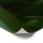 Hellorange Tulpen im Park Poster (Ecke)