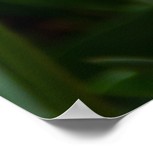 Hellorange Tulpen im Park Poster (Ecke)