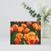 Hellorange Tulpen im Park Postkarte (Stehend Vorderseite)