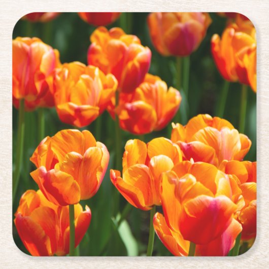 Hellorange Tulpen im Park Rechteckiger Pappuntersetzer (Vorderseite)
