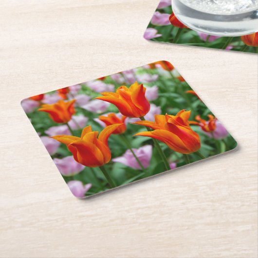 Hellorange Tulpen im Park Rechteckiger Pappuntersetzer (angewinkelt)