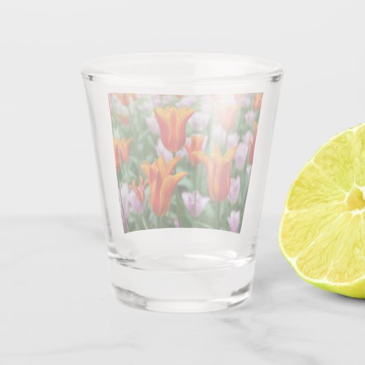 Hellorange Tulpen im Park Schnapsglas (Rückseite)