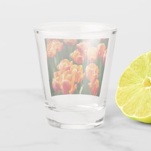 Hellorange Tulpen im Park Schnapsglas (Rückseite)