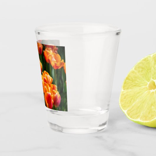 Hellorange Tulpen im Park Schnapsglas (Rechts)