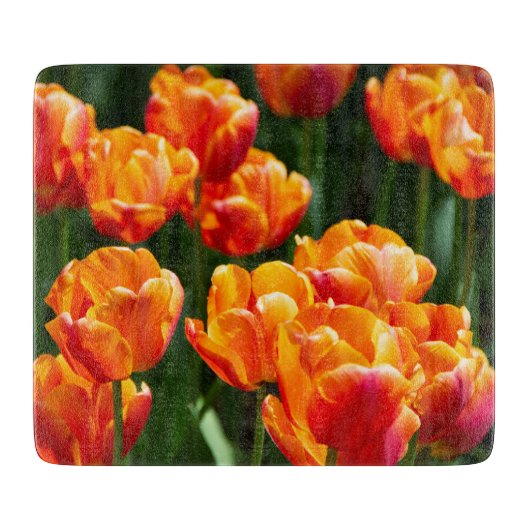 Hellorange Tulpen im Park Schneidebrett (Vorderseite)
