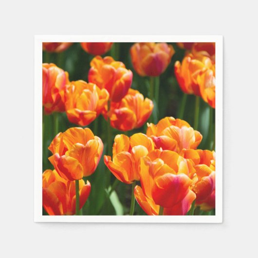 Hellorange Tulpen im Park Serviette (Vorderseite)